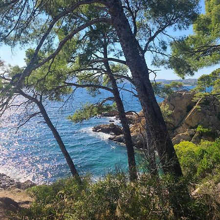 Evasion Nature A Cap Esterel Jardin, Mer & Golf Tout Confort Saint-Raphaël Eksteriør billede